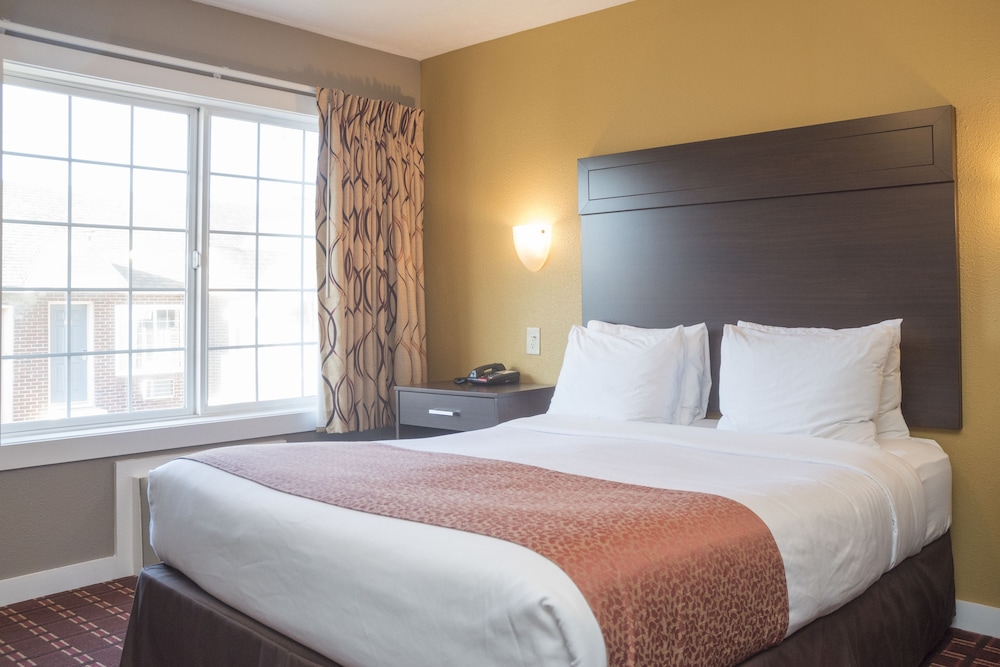 SUITE, QUEEN BED