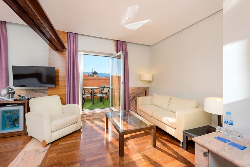 Hotel Murcia Rincon de Pepe Affiliated by Melia (ex Tryp Murcia) 53/73