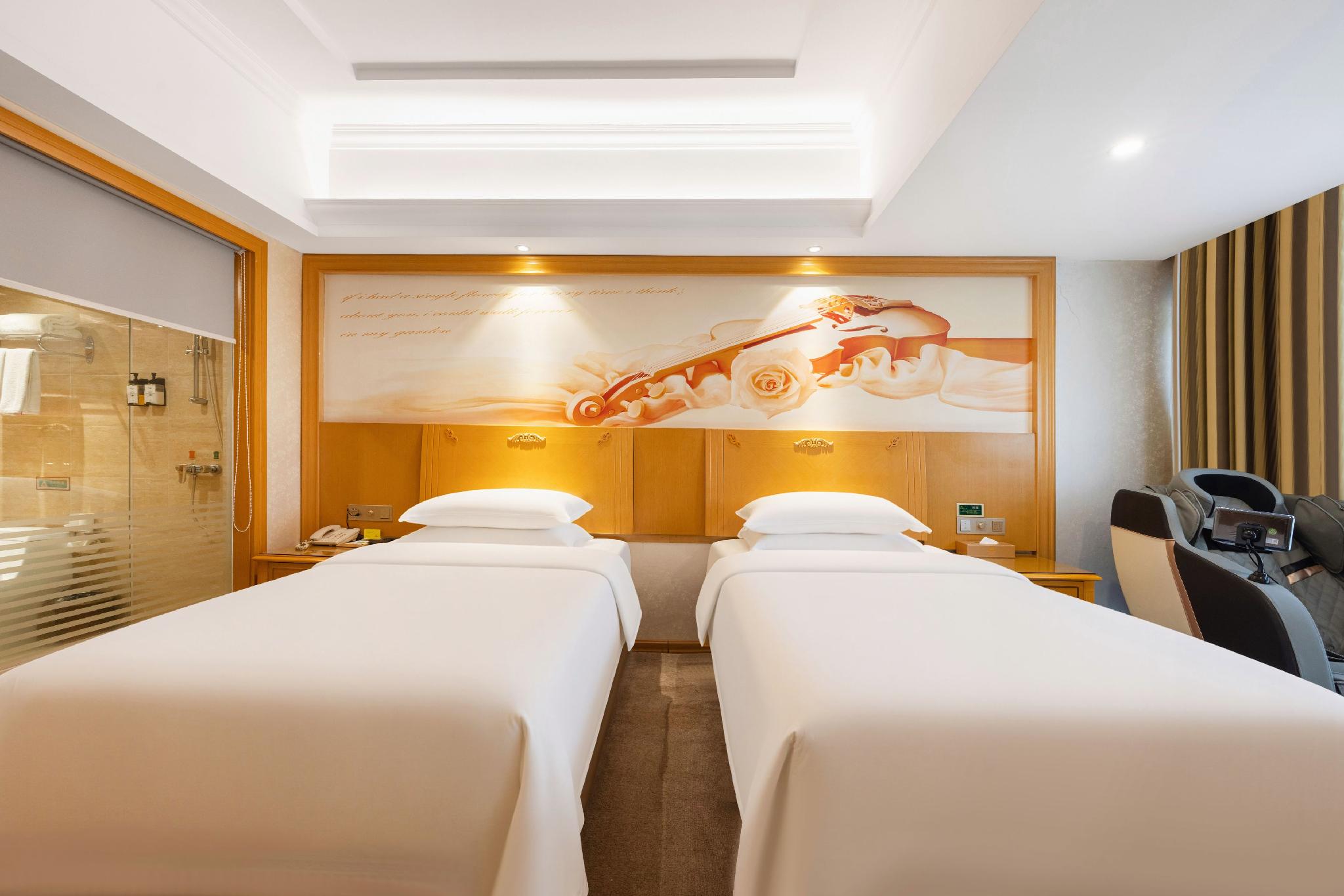 Vienna Hotel (Dongguan Huangjiang Tianxin) 18/44