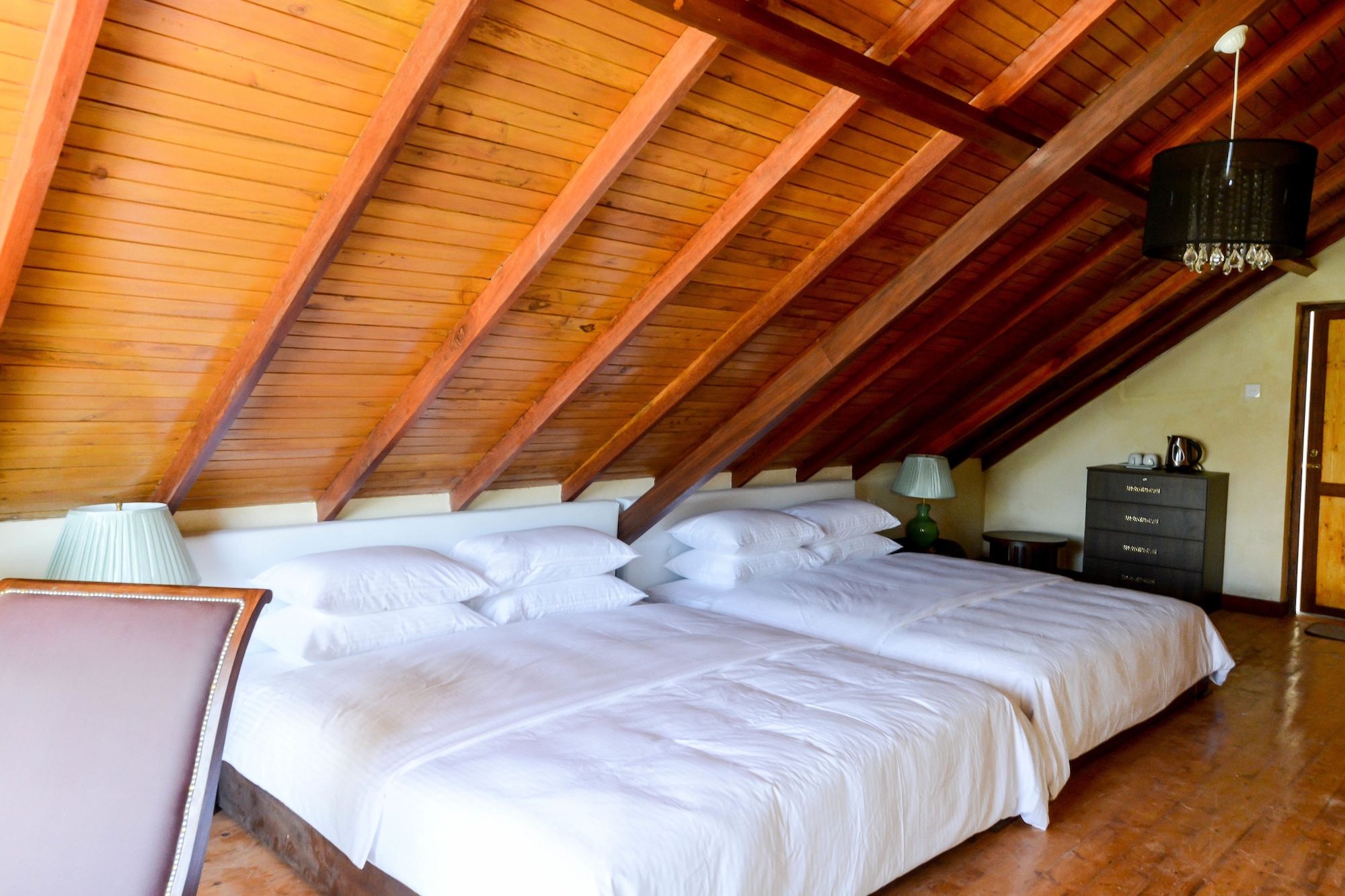 FAMILY, MULTIPLE BEDS