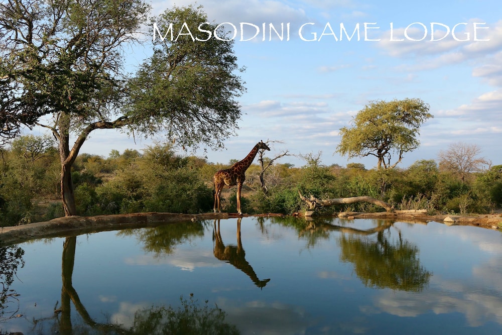 Masodini Private Game Lodge 35/47