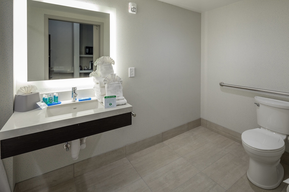 HOLIDAY INN EXPRESS SUNNYVALE - SILICON VALLEY 22/78