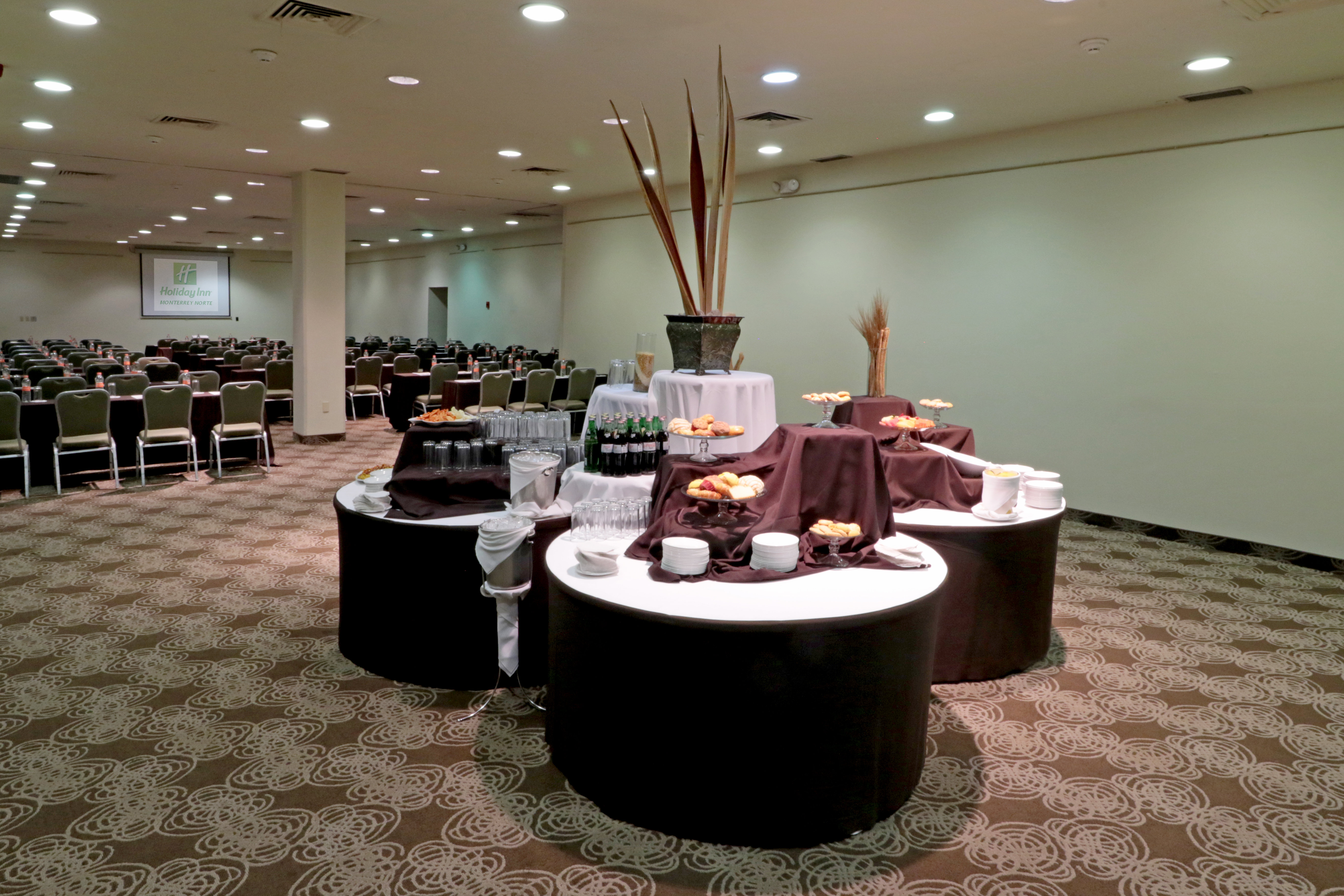 Holiday Inn Monterrey-Norte 17/48