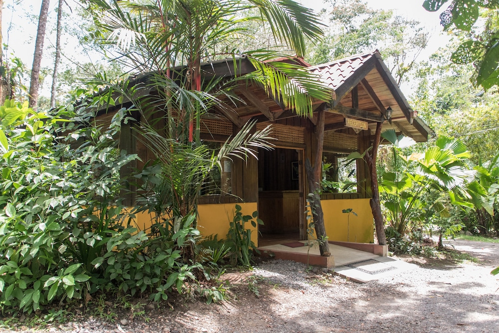 Arenal Oasis 9/50
