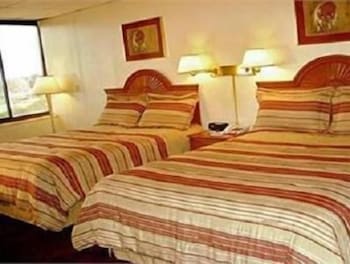 Amsterdam Hotel 24/47