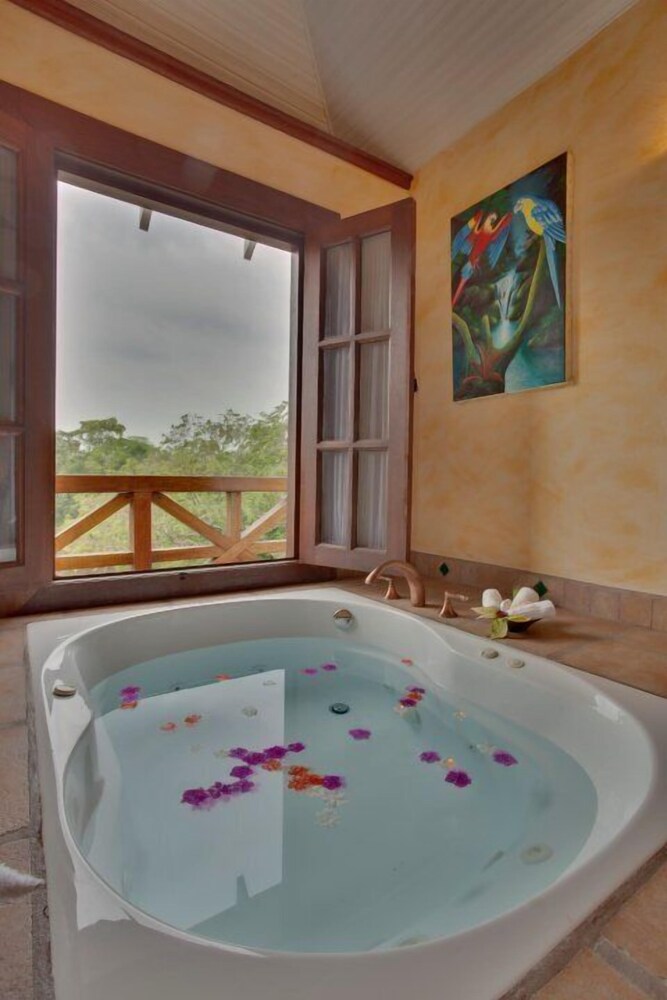swimming pool spa