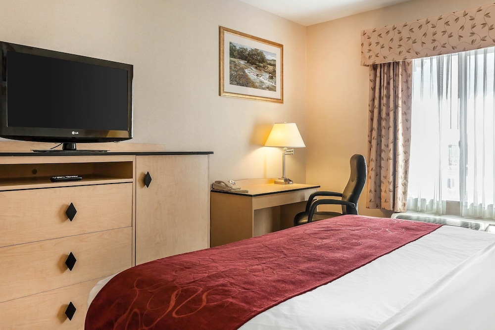 Comfort Inn & Suites Airport Convention Center 14/43