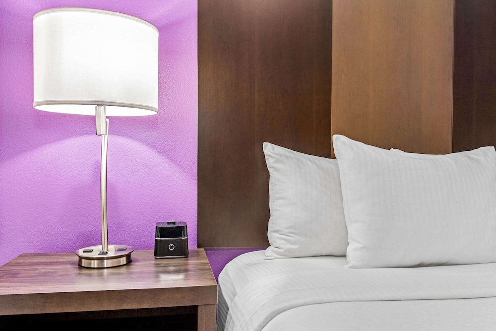 La Quinta Inn & Suites by Wyndham Lubbock South 19/48