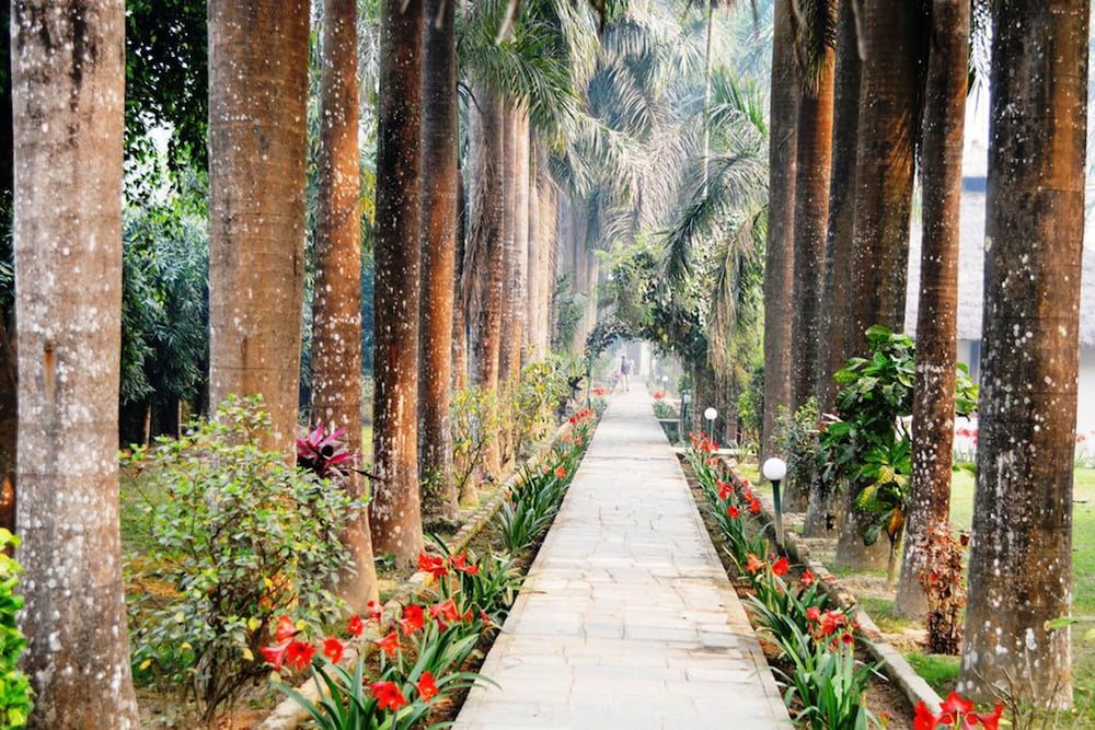 Chitwan Paradise Hotel 35/37