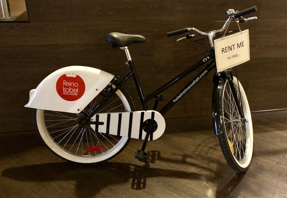 雷纳伊莎贝尔酒店(HOTEL REINA ISABEL) 图片5