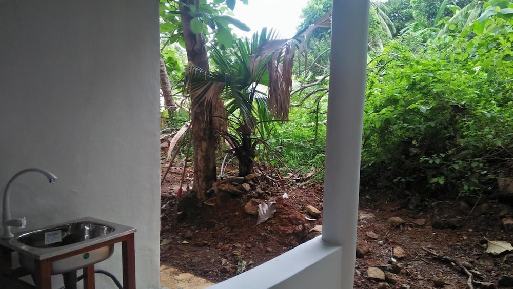The Jungle House 43/50