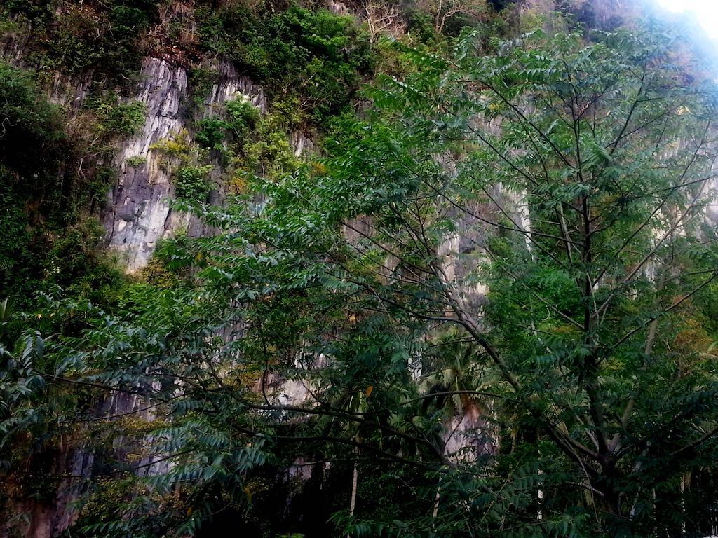 El Nido Viewdeck Cottages 31/41
