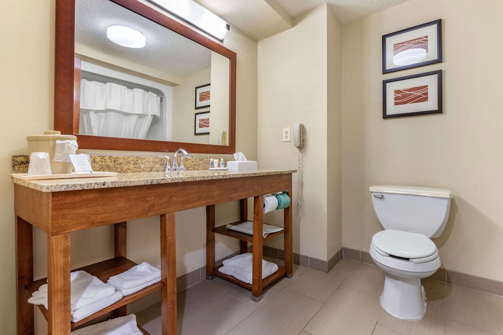 غرفة قياسية بسرير كينج، Comfort Inn Blythewood - North Columbia 6/6