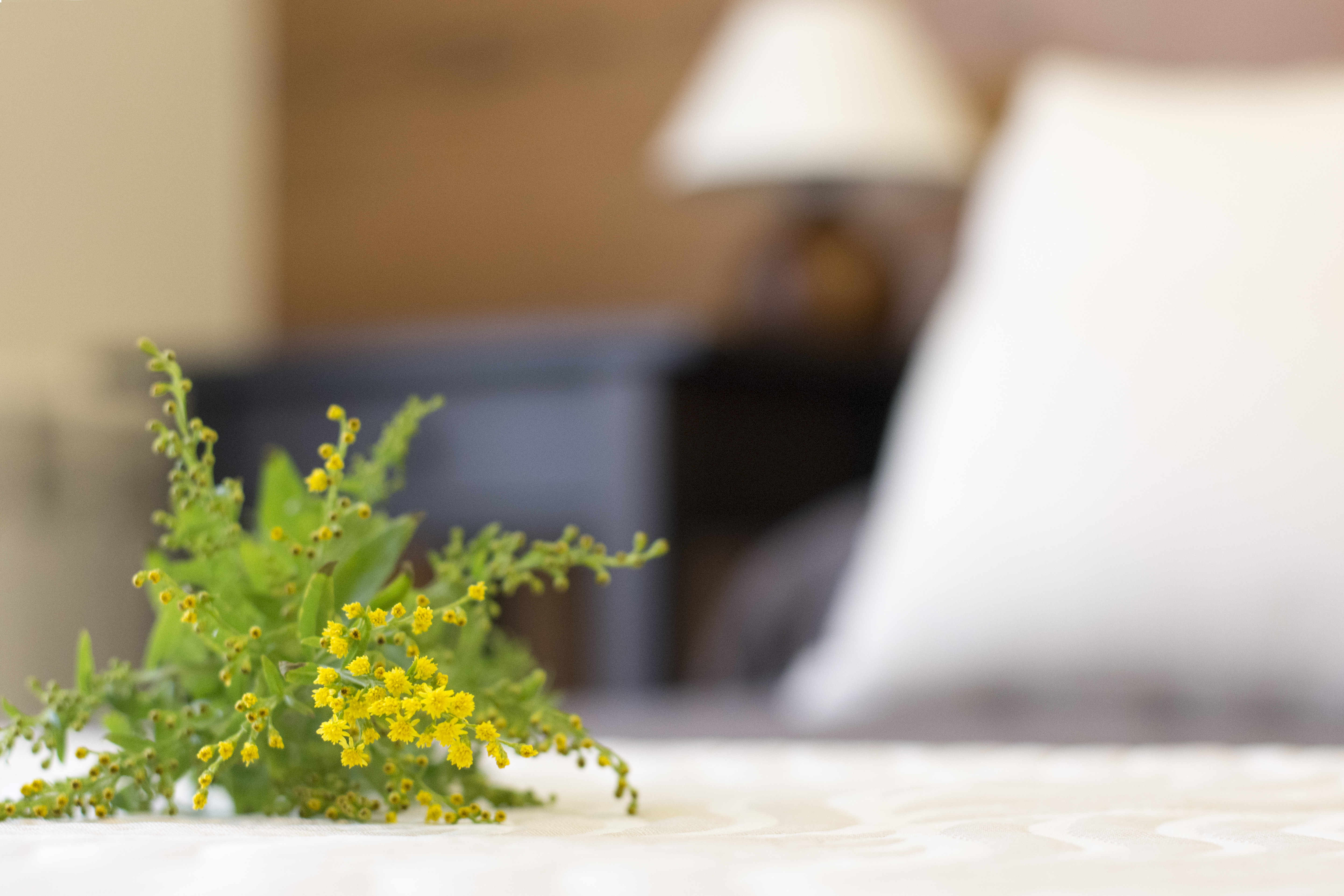 Hostal Art Madrid 32/50