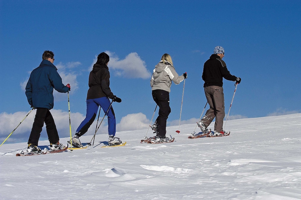 Alp and Wellnes Sport Hotel Panorama 68/71