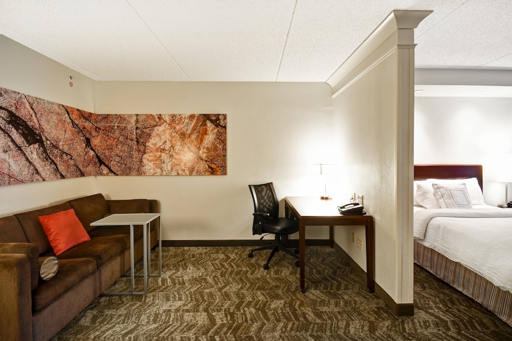 Springhill Suites by Marriott Louisville Airport 20/48