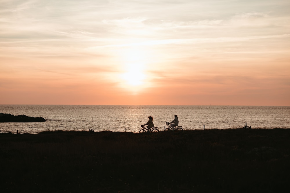 Sofitel Quiberon Thalassa Sea & Spa 38/50