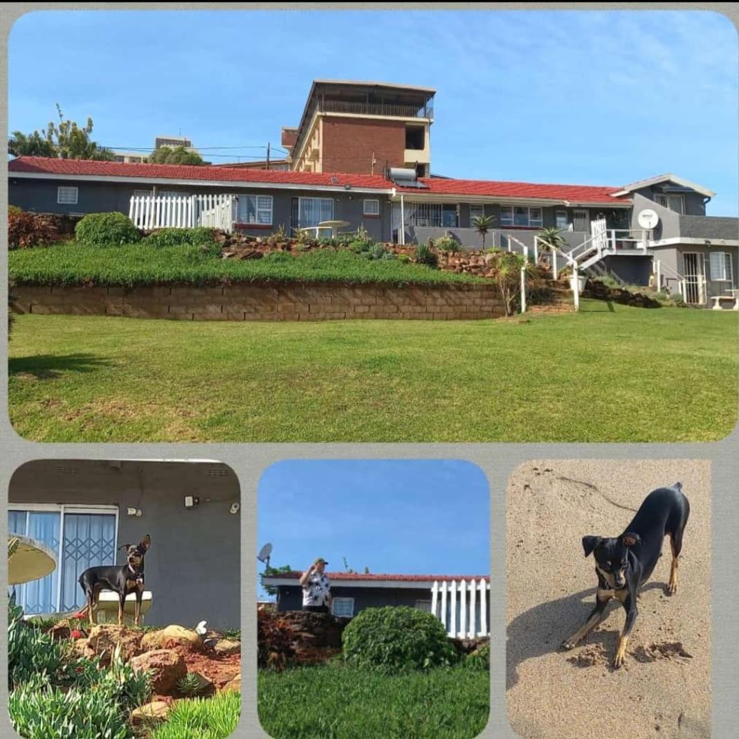 Mattaniah Pet friendly Accommodation 31/45