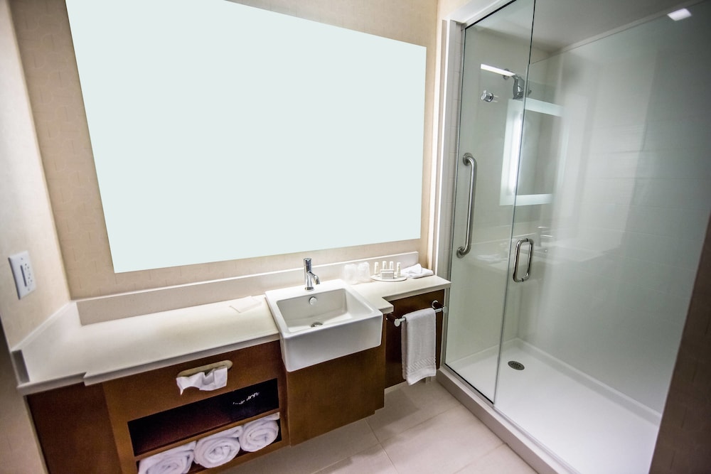 SpringHill Suites Lumberton 16/59