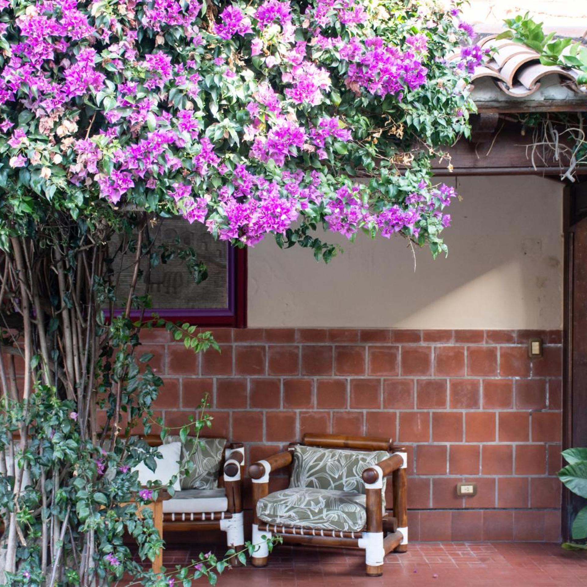 Hotel Boutique La Candela 4/50