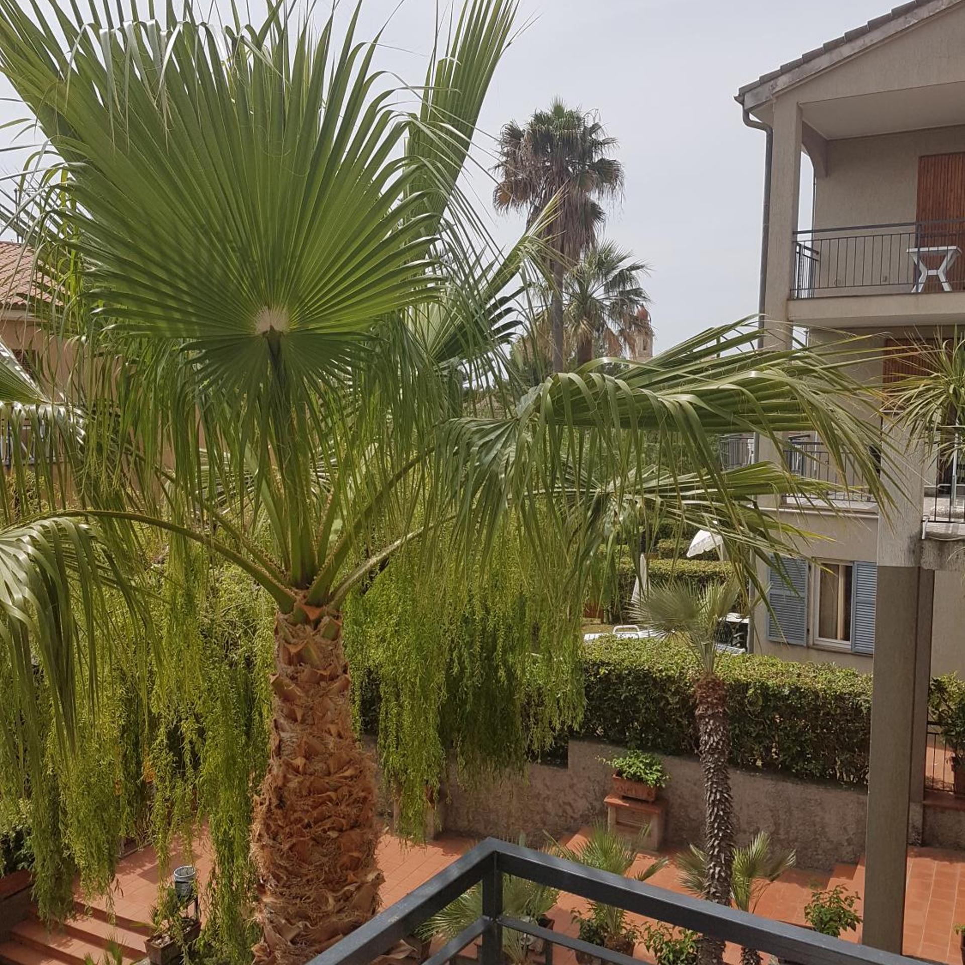 Residence La Meridiana 41/50