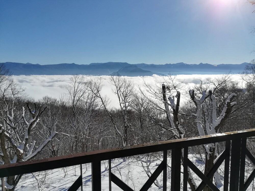 Madarao Elm Pension 47/50