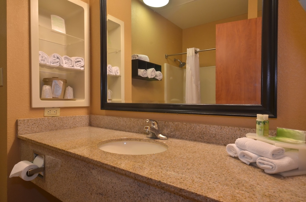 Holiday Inn Express Hotel And Suites Pine Bluff Pines Mall 25/54