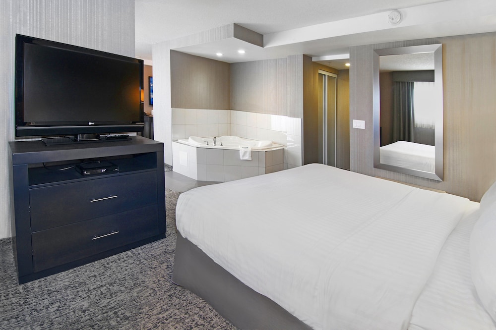 Holiday Inn Express Hotel & Suites Calgary 23/71