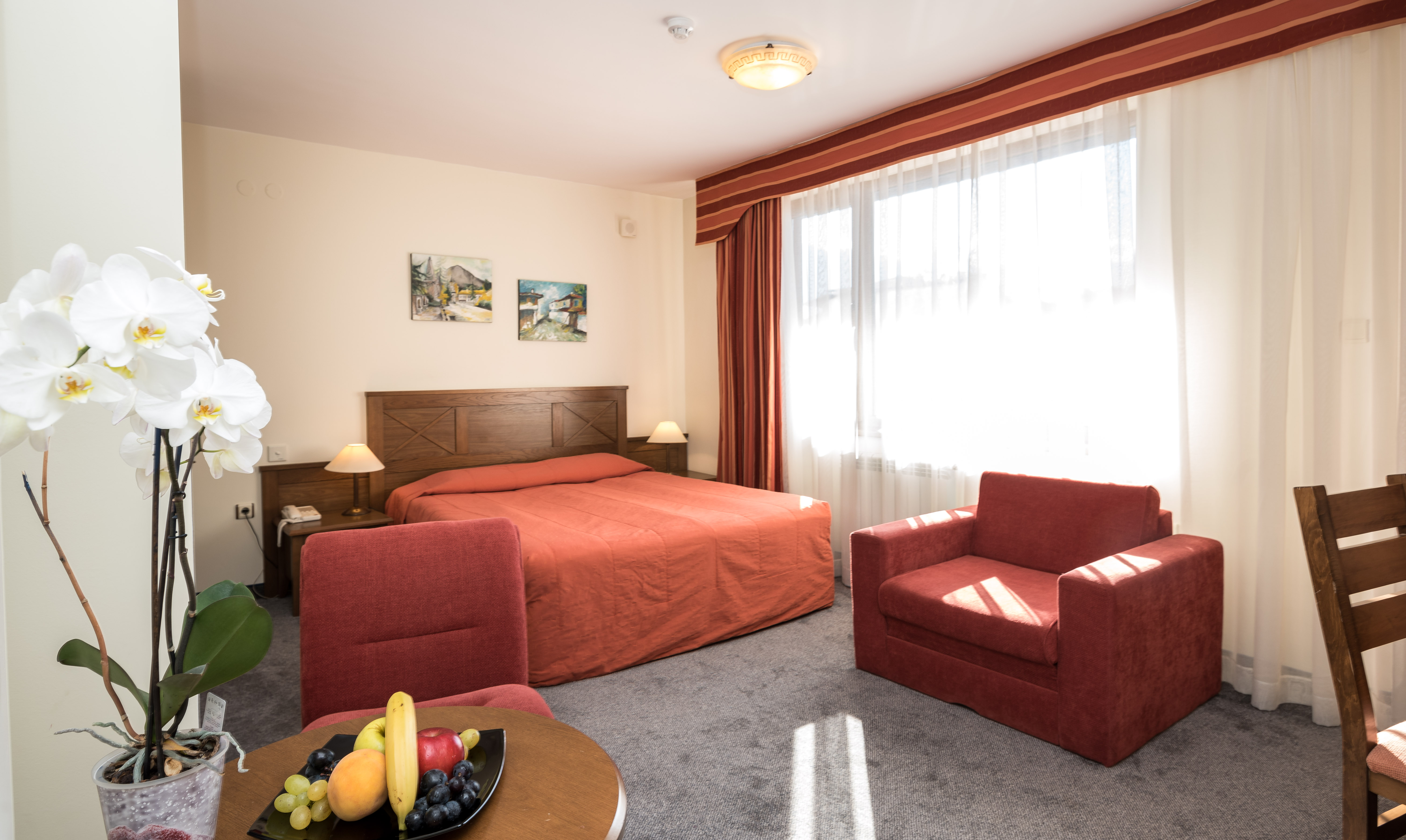Evelina Palace Hotel 32/49