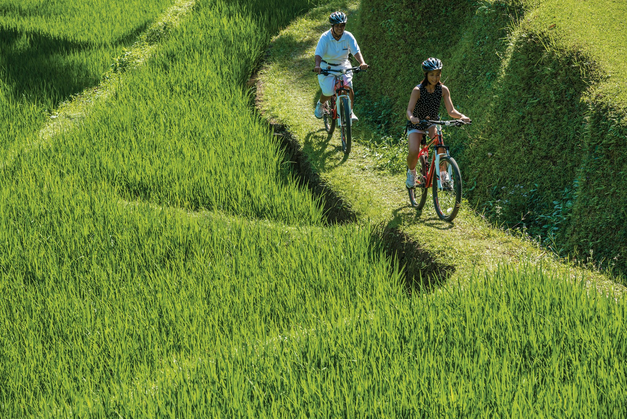 Four Seasons Resort Bali at Sayan 64/84