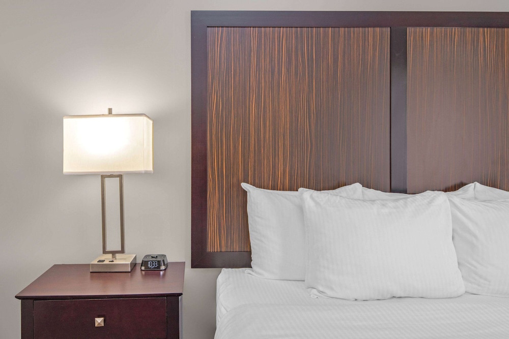 La Quinta Inn & Suites by Wyndham Gonzales LA 11/48
