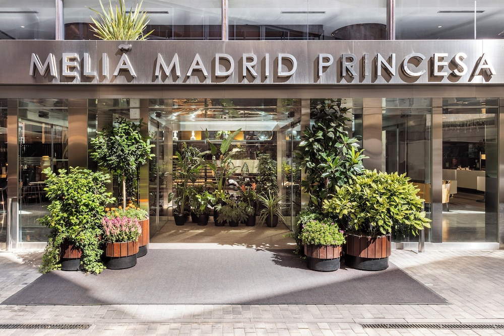 メリア マドリード プリンセサ(MELIA MADRID PRINCESA HOTEL) 写真5