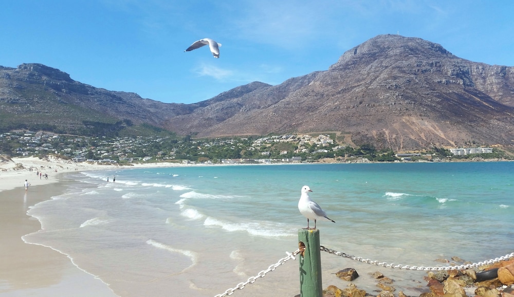 Hout Bay Beach Cottage 32/49