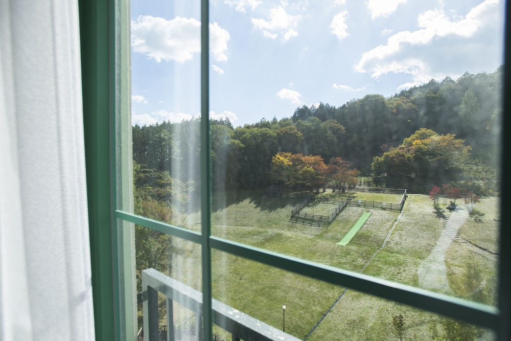 Blue Ridge Hotel 40/41