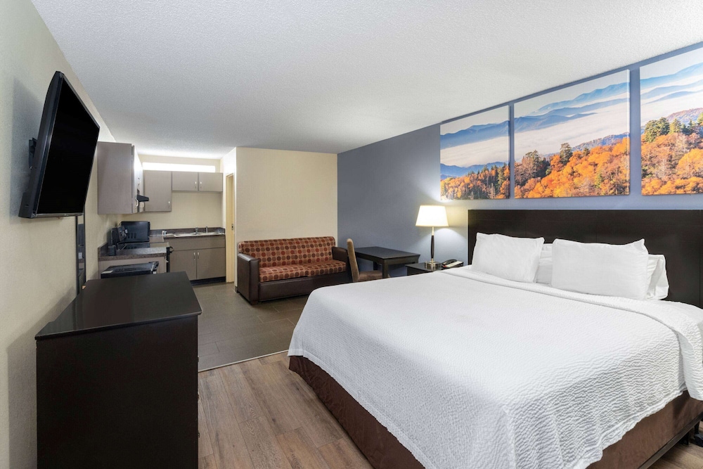 Studio, Suite, King Bed