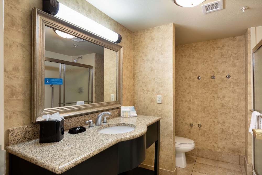 Hampton Inn and Suites Baton Rouge I 10 East 22/56