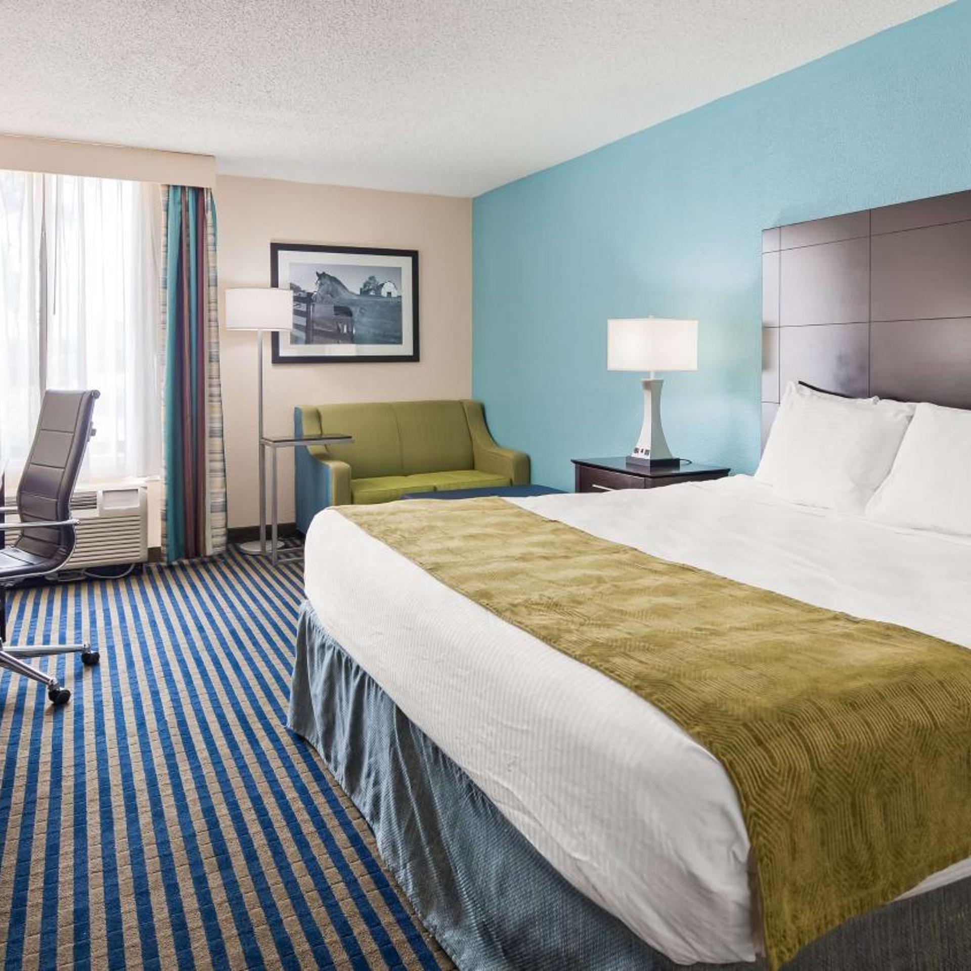 Suite, King Bed, Sofa