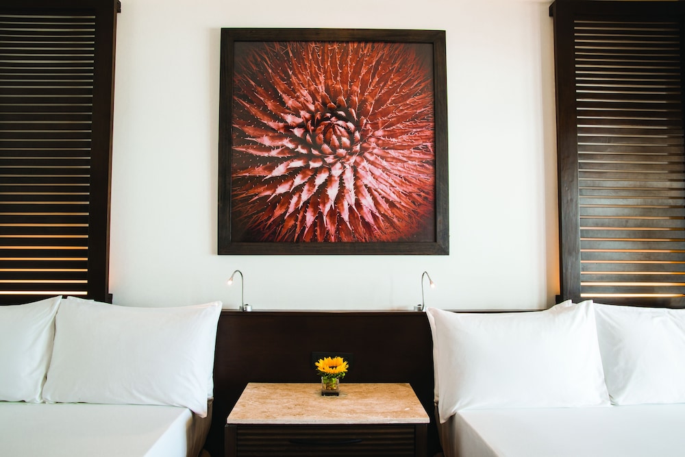 Hyatt Ziva Los Cabos All Inclusive Experience 42/66