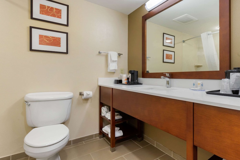 Comfort Inn & Suites Cordele GA 16/31