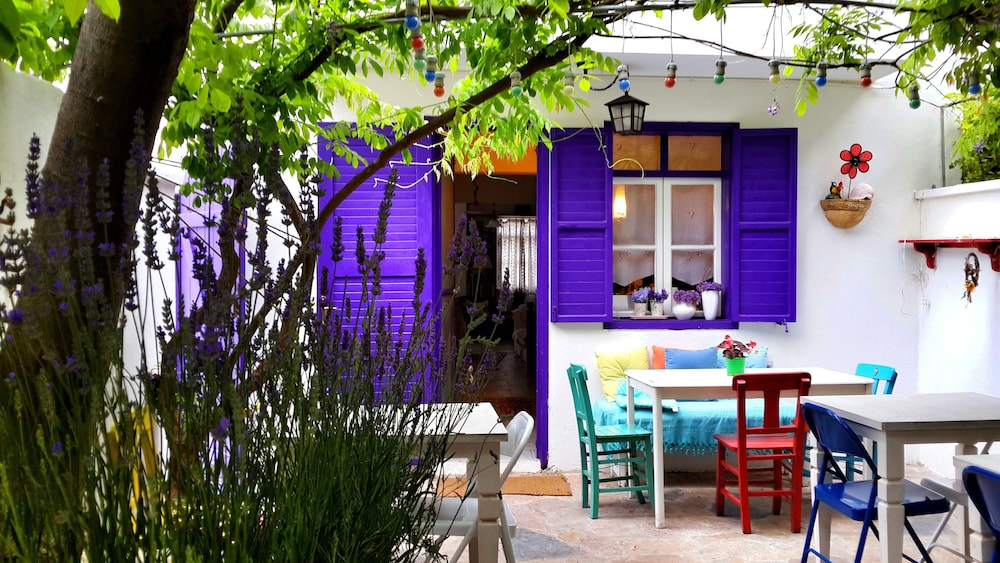 Amaranda Ada Evi - Adults Only 19/24