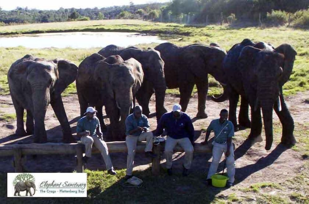 Elephant Country Guest House 14/19
