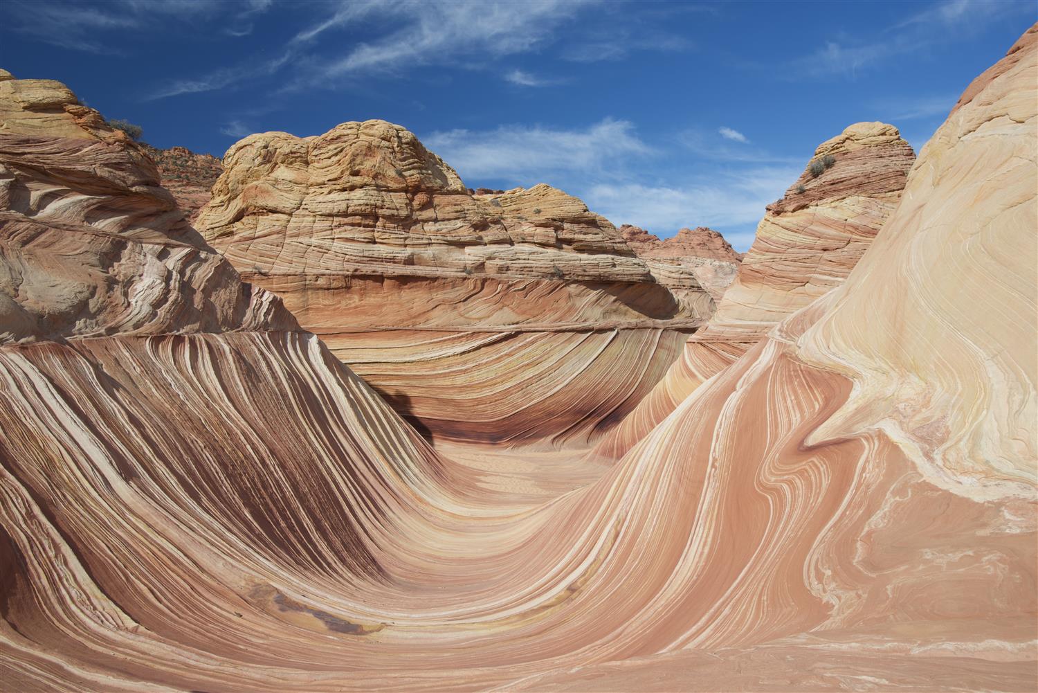 Best Western View Of Lake Powell Hotel 41/41