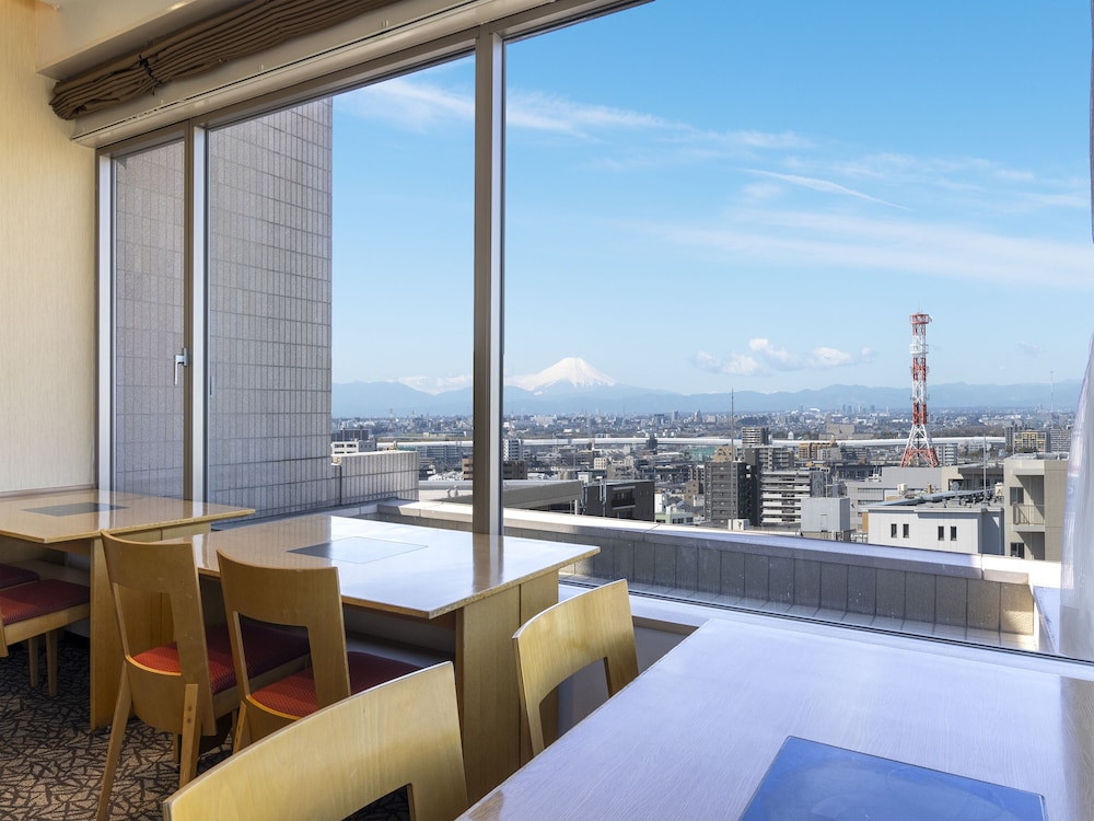 Urawa Washington Hotel 38/67
