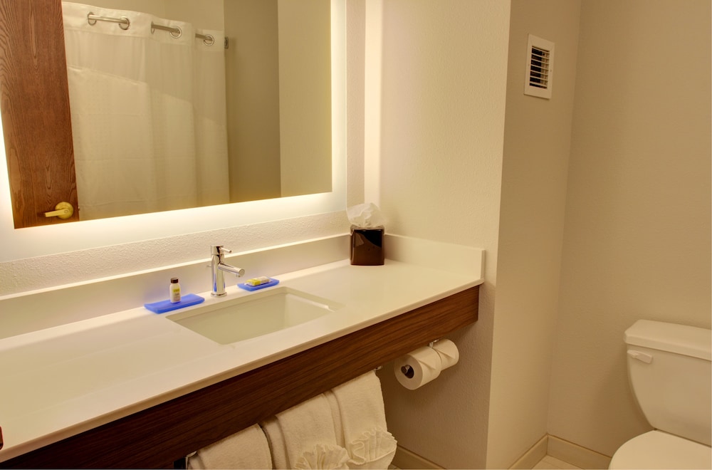 Holiday Inn Express Hotel Suites Le Mars 15/48