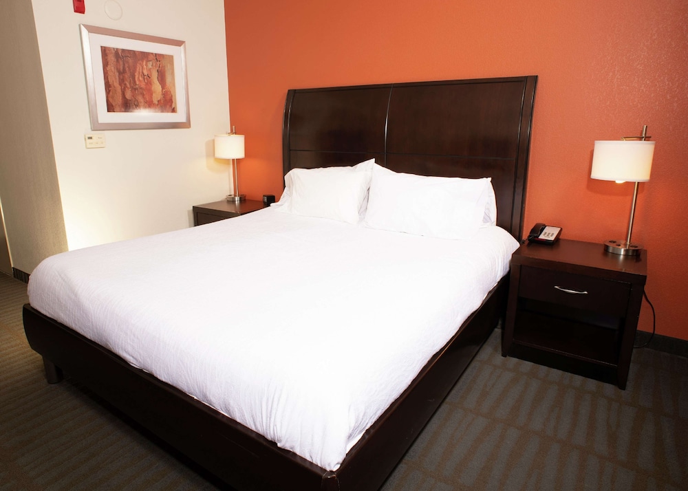 Hilton Garden Inn Springfield 16/55