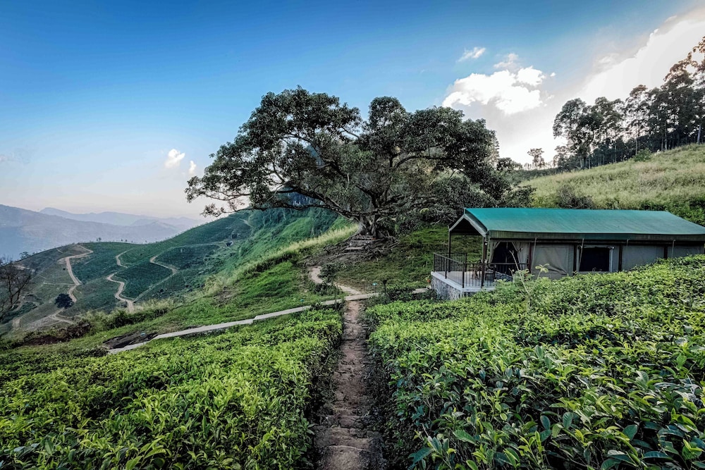 Madulkelle Tea And Eco Lodge 38/43