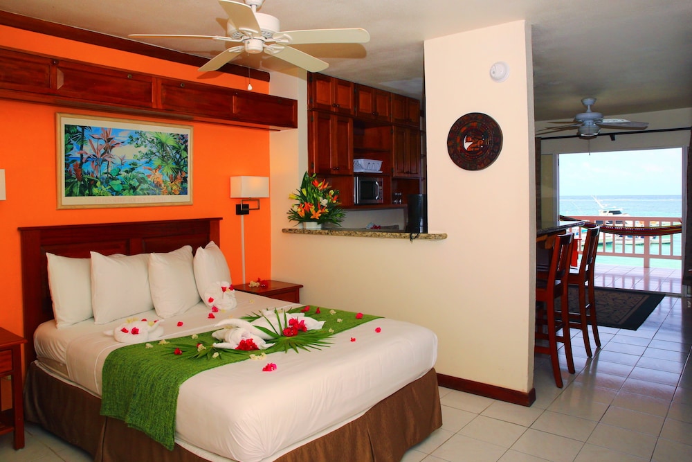 Mayan Princess Hotel 16/50