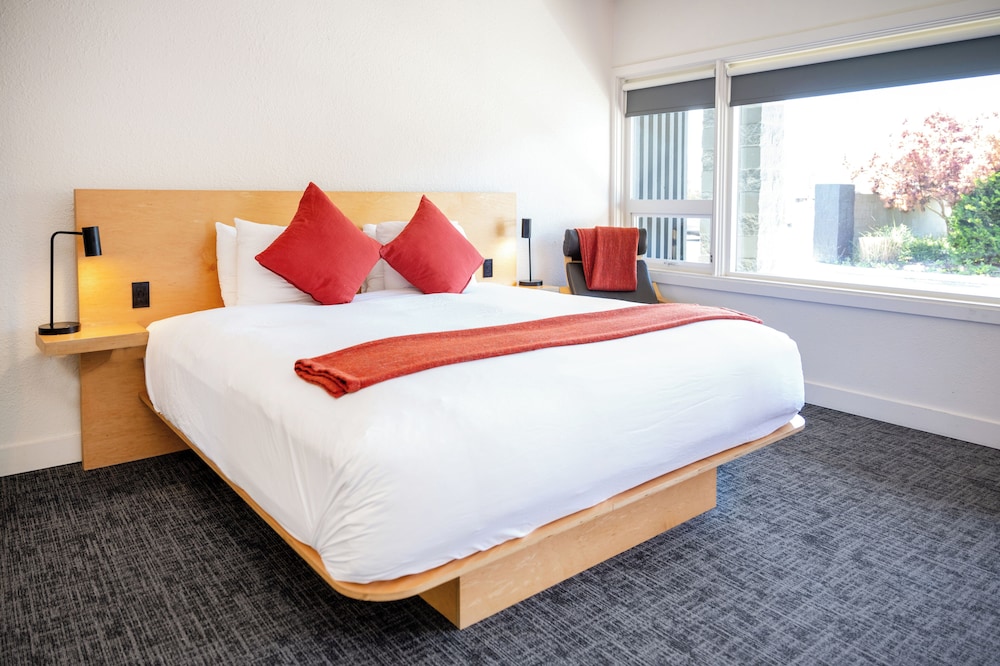 Heliotrope Hotel 13/50