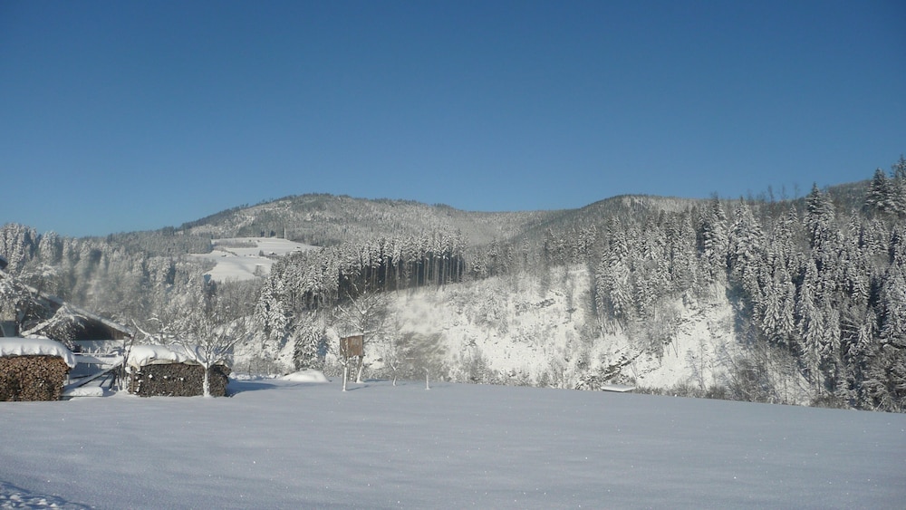 Sackmanns Wanderhotel Lowen 13/19