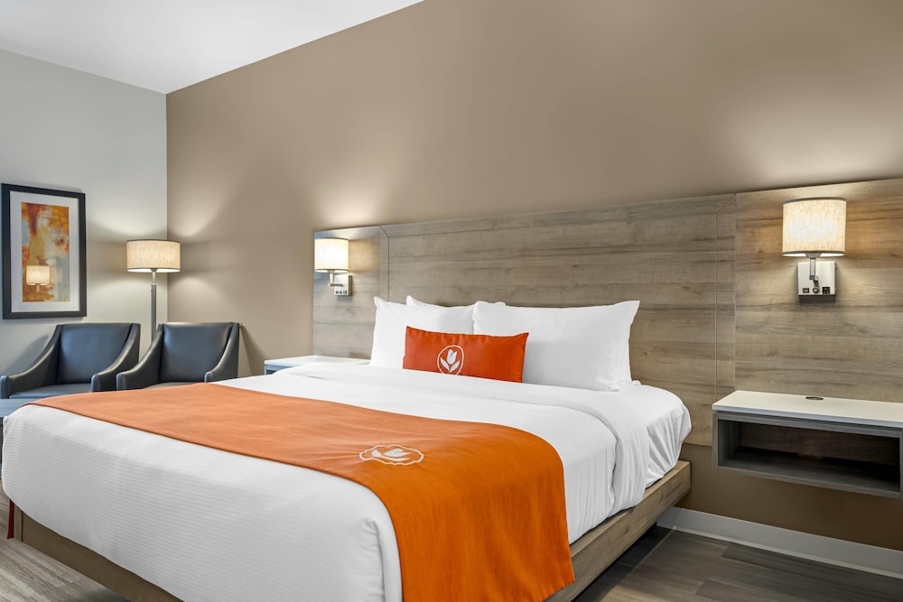 غرفة قياسية بسرير كينج يُسمح فيها بالحيوانات الأليفة، Amsterdam Inn & Suites Florenceville-Bristol, an Ascend Collection Hotel 3/5